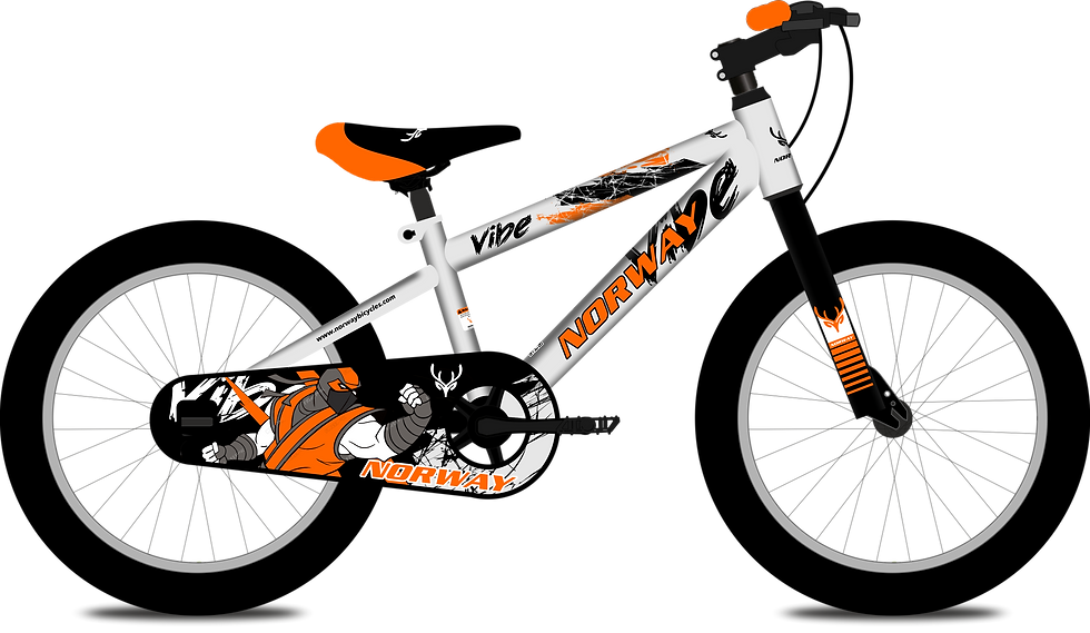 NORWAY VIBE CYCLE 20" SILVER