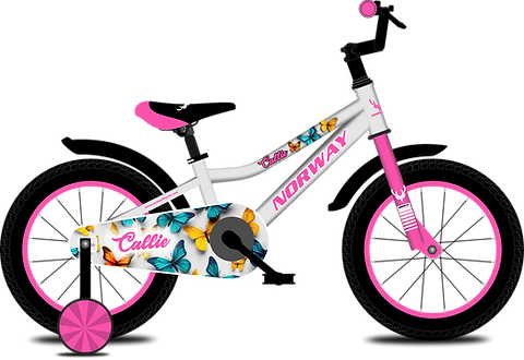 NORWAY CALLIE CYCLE 20" WITH IBC - WHITE