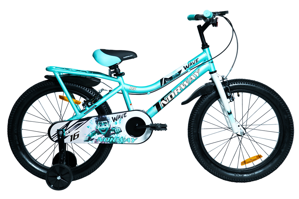 NORWAY WAVE CYCLE 20" TURQUISE
