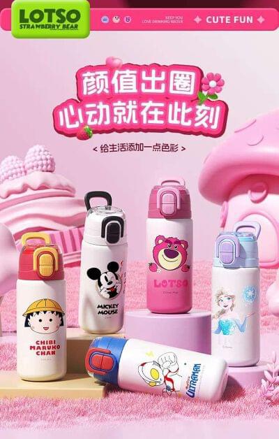 Disney Bottles 500ml